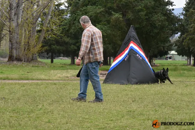 Kyle Krotter Schutzhund seminar on April 14, 2018 — a black working dog moving quickly across the seminar field — photo 26