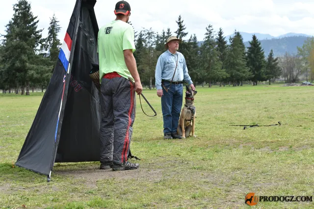 Kyle Krotter Schutzhund seminar on April 14, 2018 — handler and helper coordination during blind work — photo 12