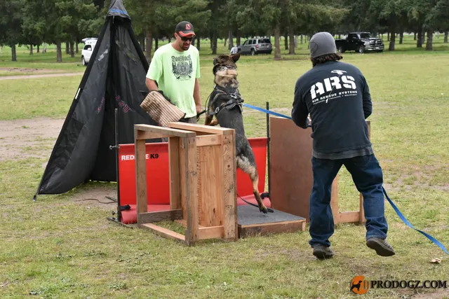 Kyle Krotter Schutzhund seminar on April 14, 2018 — a German Shepherd working around a wooden training barrier — photo 38