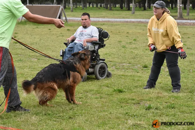 Kyle Krotter Schutzhund seminar on April 14, 2018 — a German Shepherd team receiving coaching at the end of the seminar sequence — photo 40