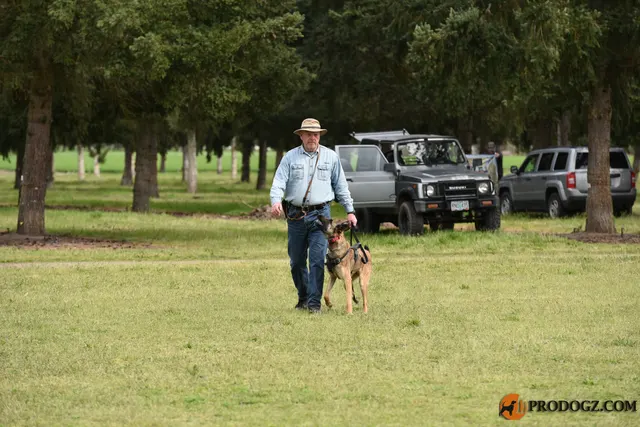 Kyle Krotter Schutzhund seminar on April 14, 2018 — a handler moving a working dog across the training field — photo 07