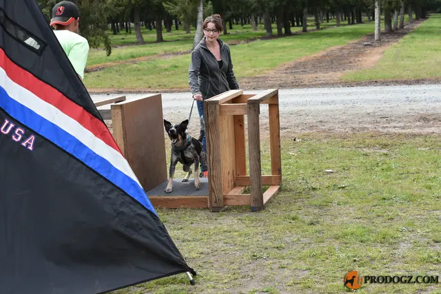 Kyle Krotter Schutzhund seminar on April 14, 2018 — helper positioning and coaching around the Schutzhund blind — photo 04