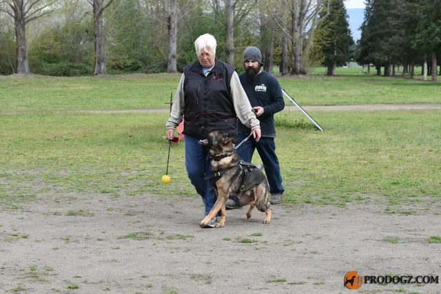 Kyle Krotter Schutzhund seminar on April 14, 2018 — handler-and-dog positioning between seminar exercises — photo 16