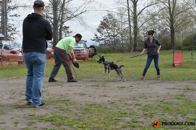 Kyle Krotter Schutzhund Seminar — April 14, 2018 historical protection-training archive