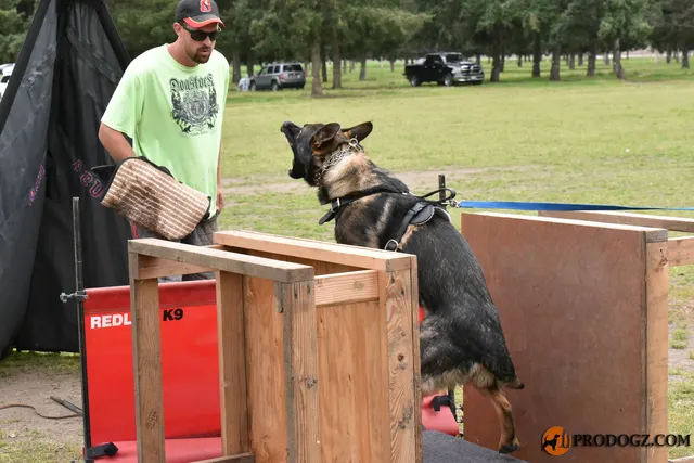 Kyle Krotter Schutzhund seminar on April 14, 2018 — a working dog training at the barrier and blind setup — photo 39