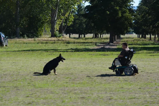 October 5–6, 2013 RVSC Affiliation Trial on October 5–6, 2013 — officials, handlers and club members gathered around the trial field — photo 45
