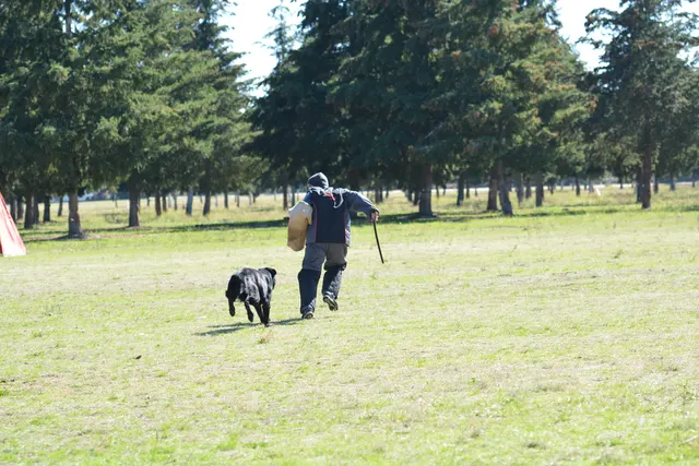 October 5–6, 2013 RVSC Affiliation Trial on October 5–6, 2013 — officials, handlers and club members gathered around the trial field — photo 55