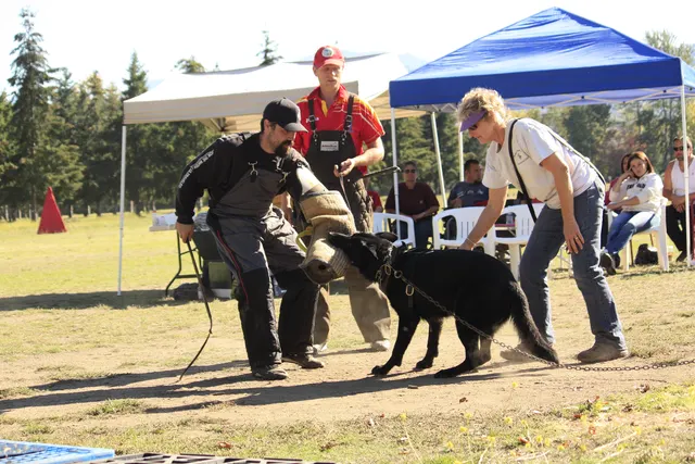 October 5–6, 2013 RVSC Affiliation Trial on October 5–6, 2013 — club members and working-dog teams gathered around the trial grounds — photo 05