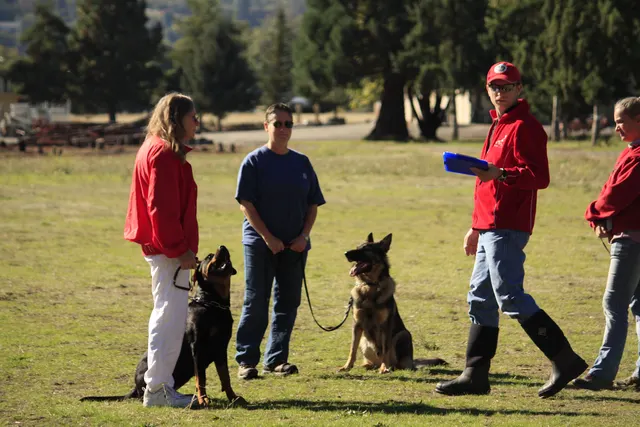 October 5–6, 2013 RVSC Affiliation Trial on October 5–6, 2013 — club members and working-dog teams gathered around the trial grounds — photo 23