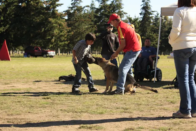 October 5–6, 2013 RVSC Affiliation Trial on October 5–6, 2013 — handlers, officials and club members during the RVSC affiliation trial — photo 07