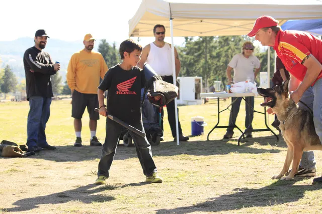 October 5–6, 2013 RVSC Affiliation Trial on October 5–6, 2013 — handlers, officials and club members during the RVSC affiliation trial — photo 13