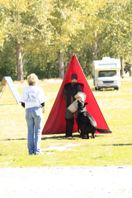 October 5–6, 2013 RVSC Affiliation Trial on October 5–6, 2013 — handlers, officials and club members during the RVSC affiliation trial — photo 31
