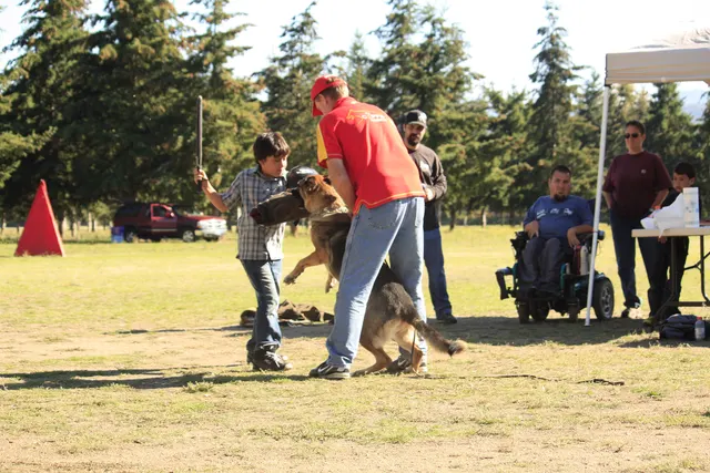 October 5–6, 2013 RVSC Affiliation Trial on October 5–6, 2013 — a dog-and-handler team working on the RVSC trial field — photo 06
