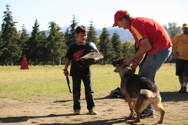 October 5–6, 2013 RVSC Affiliation Trial on October 5–6, 2013 — a dog-and-handler team working on the RVSC trial field — photo 12