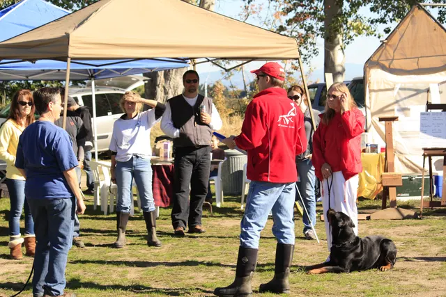 October 5–6, 2013 RVSC Affiliation Trial on October 5–6, 2013 — a dog-and-handler team working on the RVSC trial field — photo 24