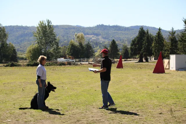 October 5–6, 2013 RVSC Affiliation Trial on October 5–6, 2013 — a dog-and-handler team working on the RVSC trial field — photo 30
