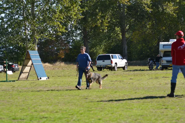 October 5–6, 2013 RVSC Affiliation Trial on October 5–6, 2013 — a working dog completing a scored field exercise near RVSC trial equipment — photo 38