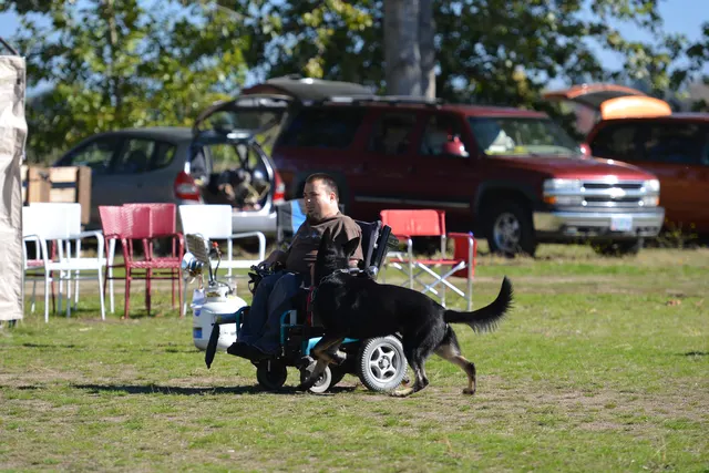 October 5–6, 2013 RVSC Affiliation Trial on October 5–6, 2013 — a working dog completing a scored field exercise near RVSC trial equipment — photo 43
