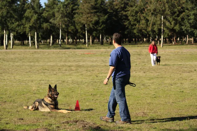 October 5–6, 2013 RVSC Affiliation Trial on October 5–6, 2013 — a helper and working dog during a controlled protection exercise — photo 22