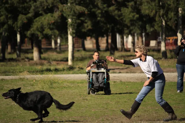 October 5–6, 2013 RVSC Affiliation Trial on October 5–6, 2013 — a helper and working dog during a controlled protection exercise — photo 28