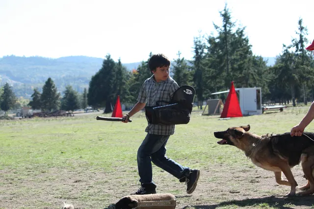 October 5–6, 2013 RVSC Affiliation Trial on October 5–6, 2013 — a helper and working dog during a controlled protection exercise — photo 70