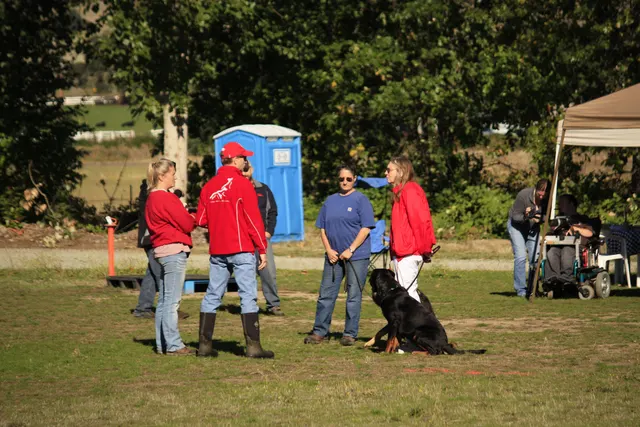 October 5–6, 2013 RVSC Affiliation Trial on October 5–6, 2013 — a working dog and handler completing a formal trial exercise — photo 20