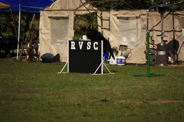 October 5–6, 2013 RVSC Affiliation Trial on October 5–6, 2013 — a working dog and handler completing a formal trial exercise — photo 26