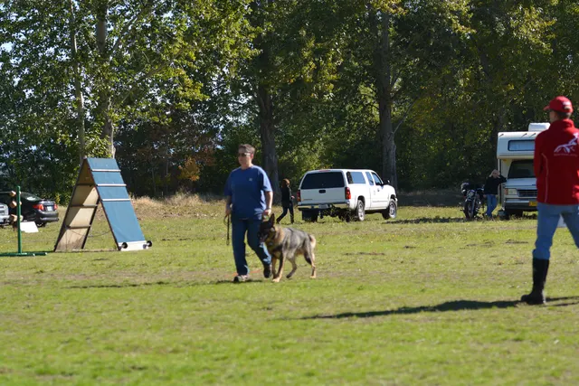October 5–6, 2013 RVSC Affiliation Trial on October 5–6, 2013 — a dog-and-handler team moving through an obedience portion of the affiliation trial — photo 39