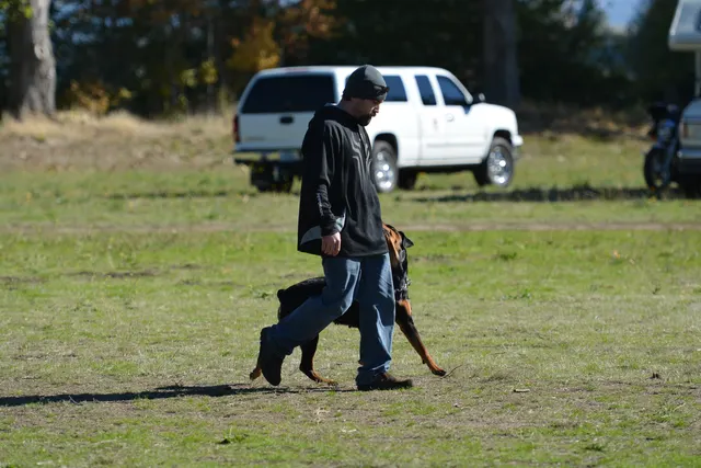 October 5–6, 2013 RVSC Affiliation Trial on October 5–6, 2013 — a working dog and handler performing a formal trial field exercise — photo 46
