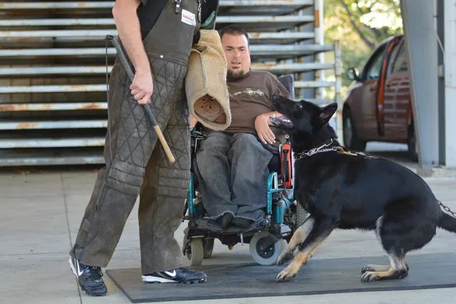 October 5–6, 2013 RVSC Affiliation Trial on October 5–6, 2013 — a helper presenting the sleeve during controlled trial protection work — photo 62