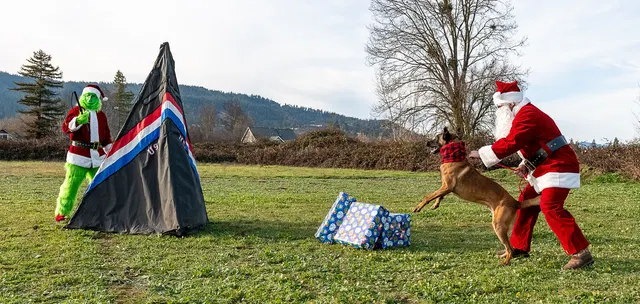 RVSC Christmas Party — December 23, 2023 — club members, working dogs, Santa, the Grinch and festive field activities — photo 016