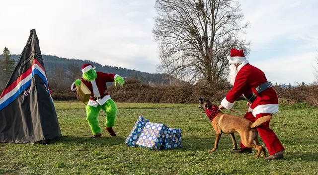 RVSC Christmas Party — December 23, 2023 — club members, working dogs, Santa, the Grinch and festive field activities — photo 017