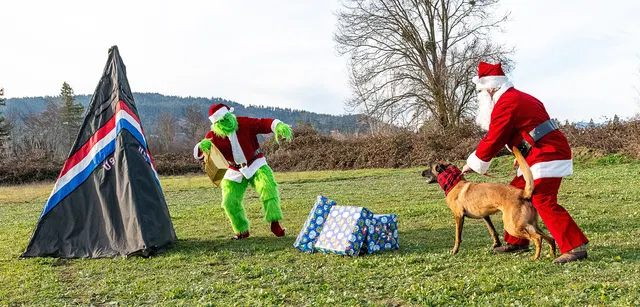 RVSC Christmas Party — December 23, 2023 — club members, working dogs, Santa, the Grinch and festive field activities — photo 018