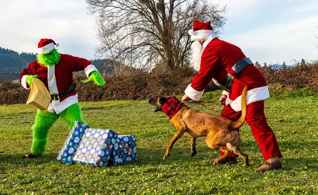 RVSC Christmas Party — December 23, 2023 — club members, working dogs, Santa, the Grinch and festive field activities — photo 020