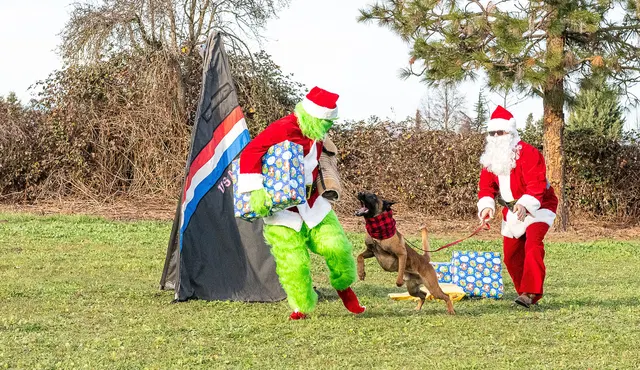 RVSC Christmas Party — December 23, 2023 — club members, working dogs, Santa, the Grinch and festive field activities — photo 022