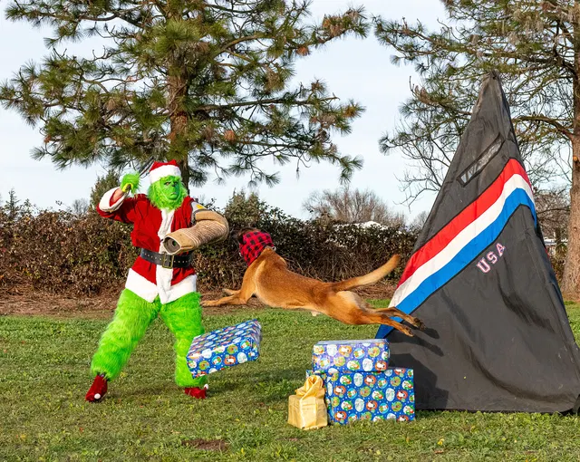 RVSC Christmas Party — December 23, 2023 — club members, working dogs, Santa, the Grinch and festive field activities — photo 024