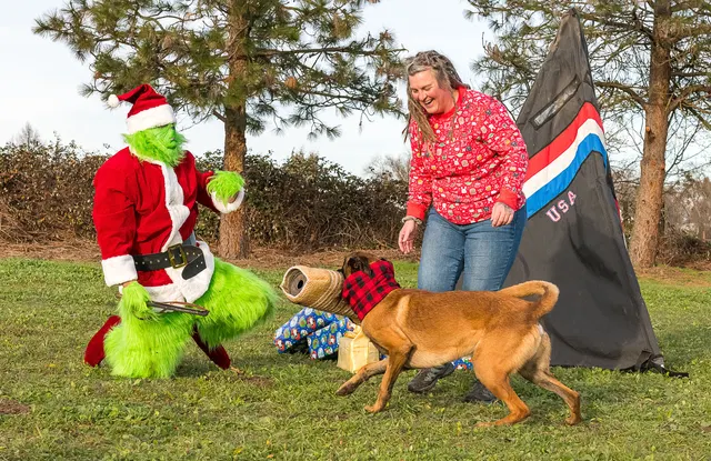 RVSC Christmas Party — December 23, 2023 — club members, working dogs, Santa, the Grinch and festive field activities — photo 027
