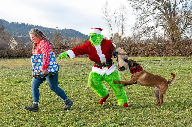 RVSC Christmas Party — December 23, 2023 — club members, working dogs, Santa, the Grinch and festive field activities — photo 028