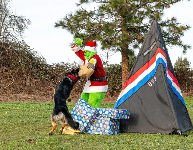RVSC Christmas Party — December 23, 2023 — club members, working dogs, Santa, the Grinch and festive field activities — photo 031
