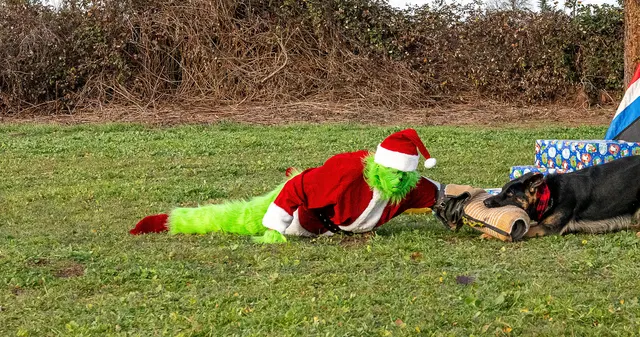 RVSC Christmas Party — December 23, 2023 — club members, working dogs, Santa, the Grinch and festive field activities — photo 032