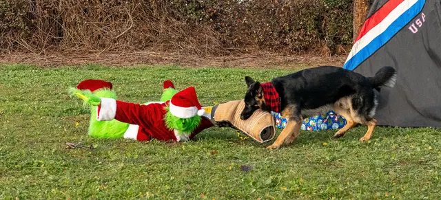 RVSC Christmas Party — December 23, 2023 — club members, working dogs, Santa, the Grinch and festive field activities — photo 033