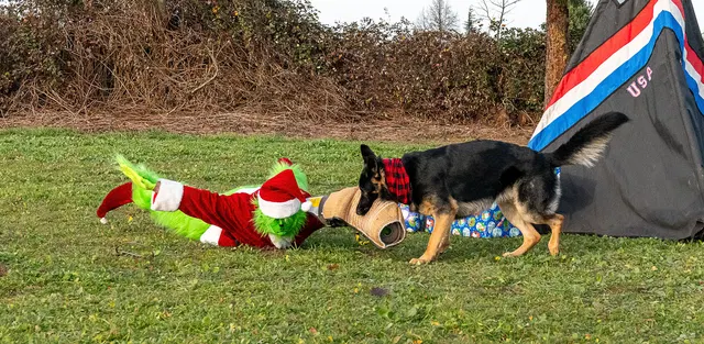 RVSC Christmas Party — December 23, 2023 — club members, working dogs, Santa, the Grinch and festive field activities — photo 034