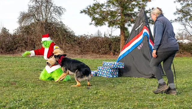 RVSC Christmas Party — December 23, 2023 — club members, working dogs, Santa, the Grinch and festive field activities — photo 035