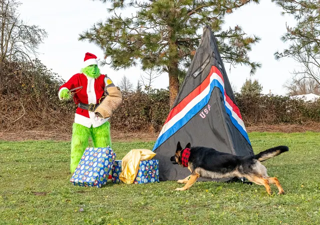 RVSC Christmas Party — December 23, 2023 — club members, working dogs, Santa, the Grinch and festive field activities — photo 036