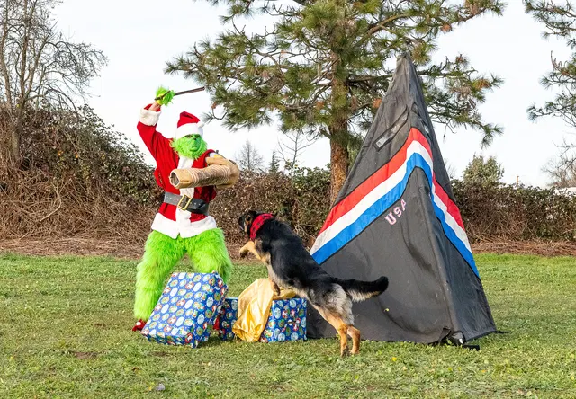 RVSC Christmas Party — December 23, 2023 — club members, working dogs, Santa, the Grinch and festive field activities — photo 037