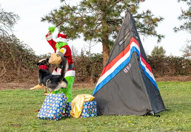 RVSC Christmas Party — December 23, 2023 — club members, working dogs, Santa, the Grinch and festive field activities — photo 038