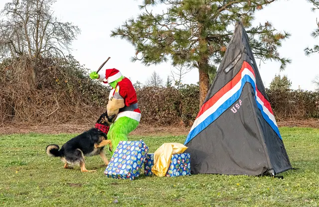 RVSC Christmas Party — December 23, 2023 — club members, working dogs, Santa, the Grinch and festive field activities — photo 039
