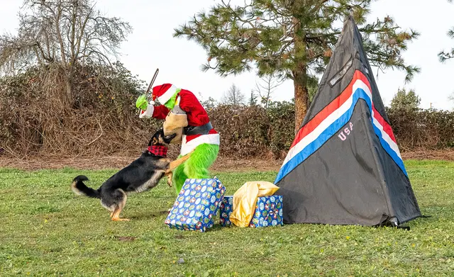 RVSC Christmas Party — December 23, 2023 — club members, working dogs, Santa, the Grinch and festive field activities — photo 040