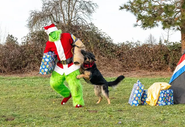 RVSC Christmas Party — December 23, 2023 — club members, working dogs, Santa, the Grinch and festive field activities — photo 042