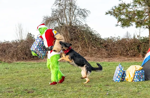 RVSC Christmas Party — December 23, 2023 — club members, working dogs, Santa, the Grinch and festive field activities — photo 045